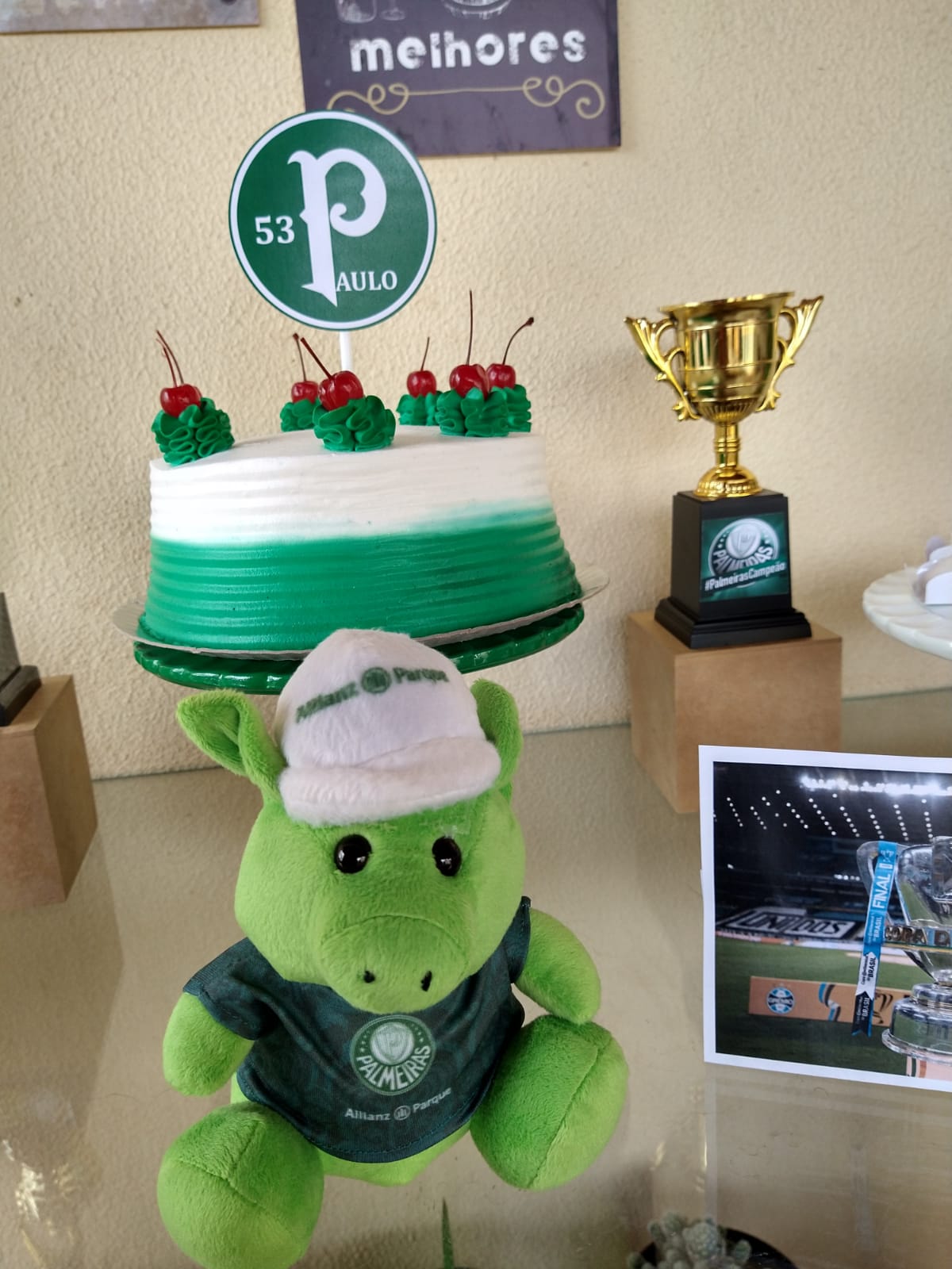 palmeiras